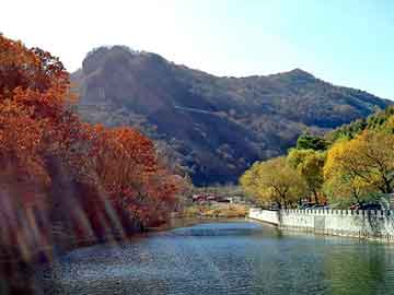 新澳天天开奖资料大全旅游团，求购轴承